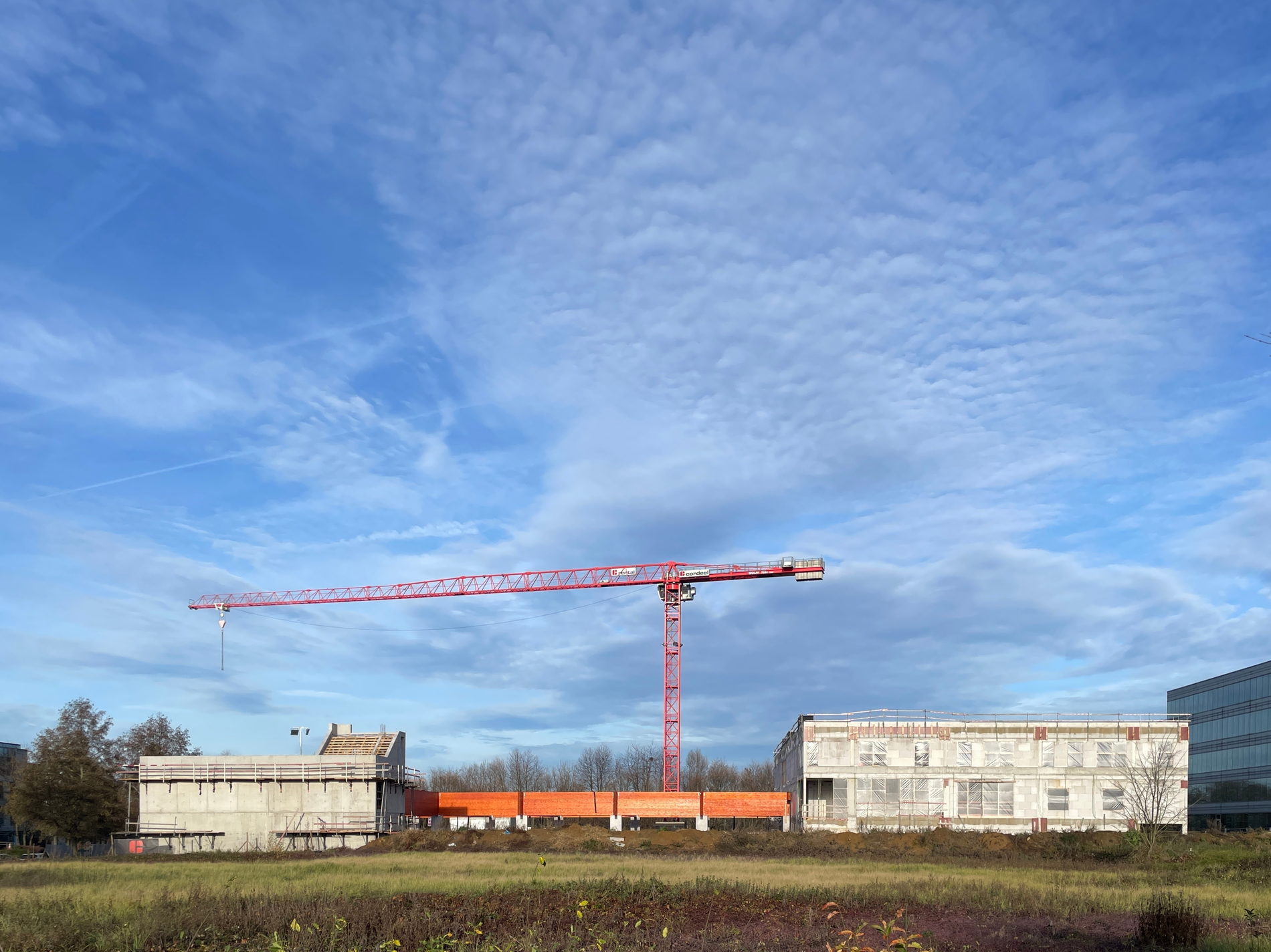 La jeune génération – entre architecture, certification et atelier 6