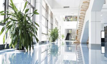 Unieke zonwerende raamfolie: optimale lichtbeleving, maximaal comfort 11