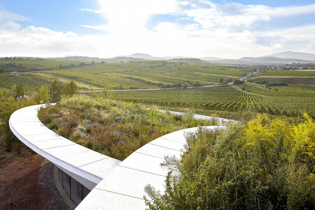 Grensverleggend: groendak als architectonisch gebaar 1