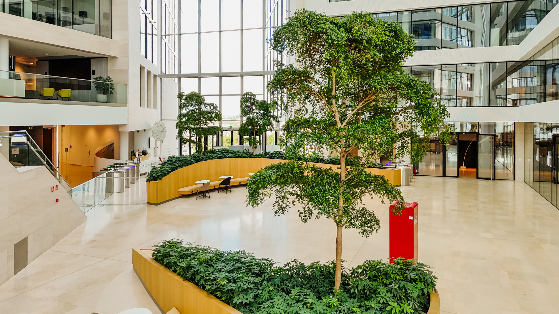 Biophilic design versterkt architectuur en werkbeleving 3