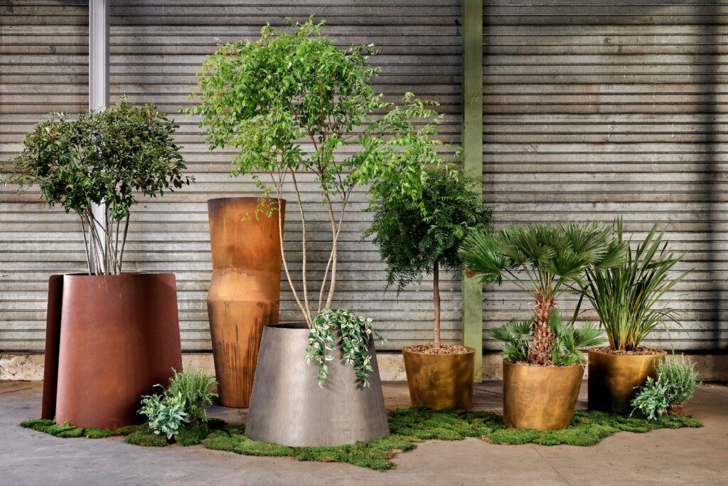 “Enthara is een collectie metalen planters met karakter en emotie” 1