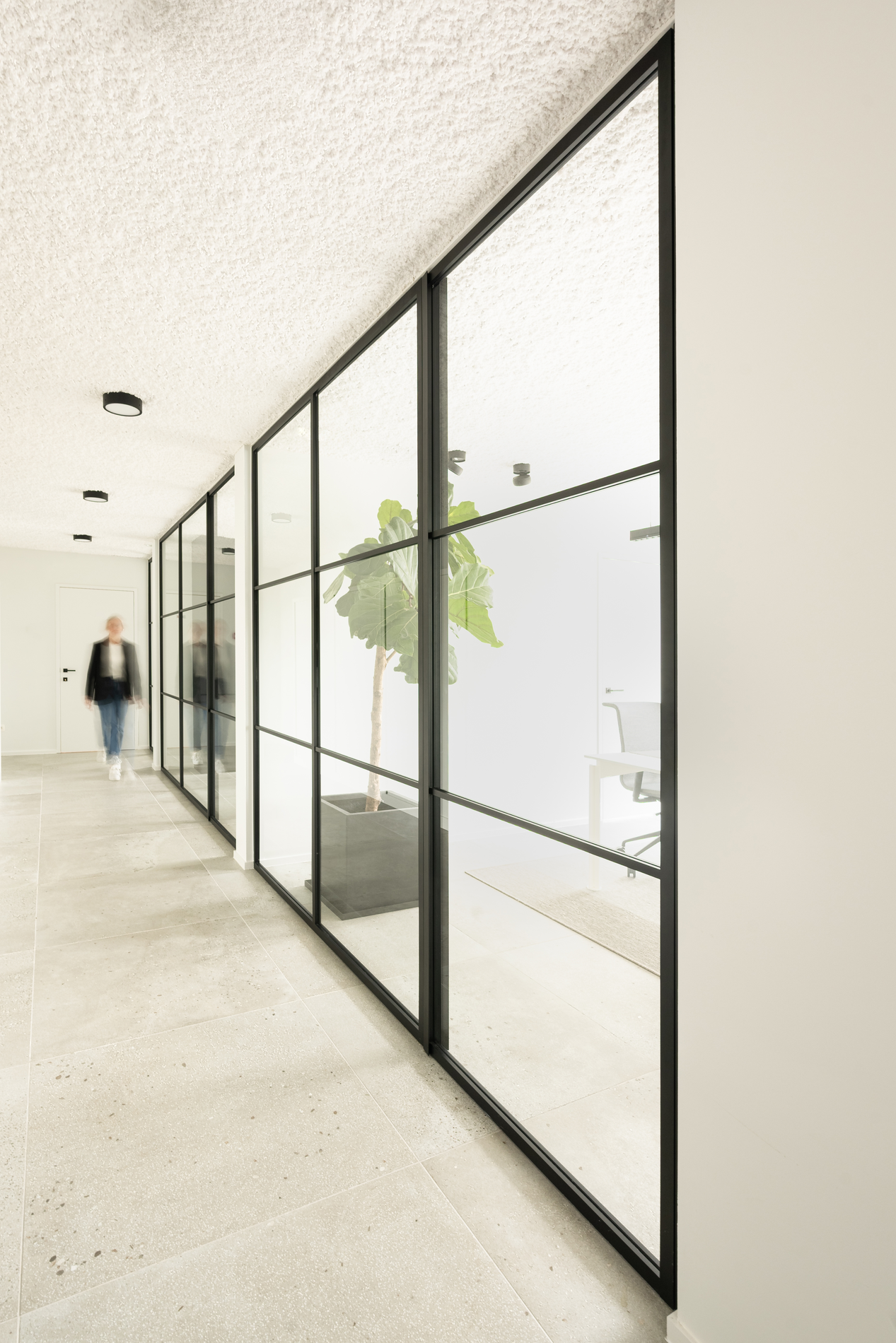 Lichtrijk kantoor voor MFI Coatings met strakke glaswanden 2